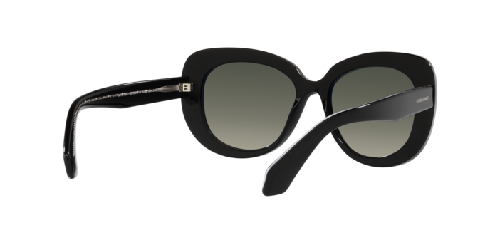 Giorgio Armani Sunglasses AR8168 587571