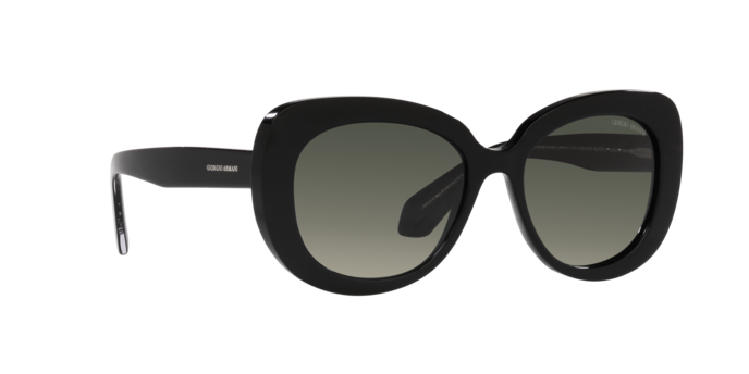 Giorgio Armani Sunglasses AR8168 587571