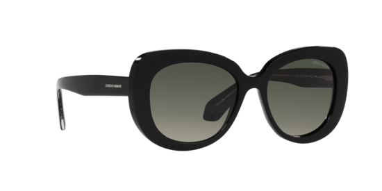 Giorgio Armani Sunglasses AR8168 587571