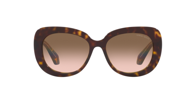 Giorgio Armani Sunglasses AR8168 587951