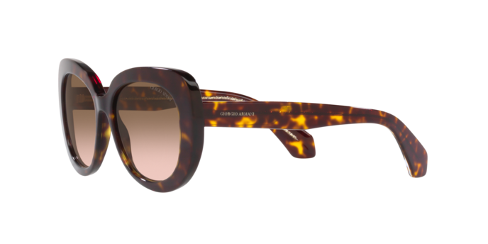 Giorgio Armani Sunglasses AR8168 587951