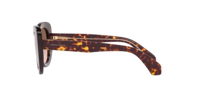 Giorgio Armani Sunglasses AR8168 587951