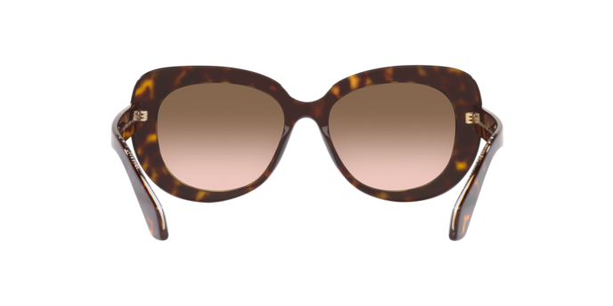 Giorgio Armani Sunglasses AR8168 587951
