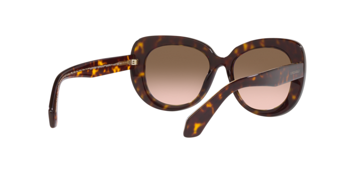 Giorgio Armani Sunglasses AR8168 587951