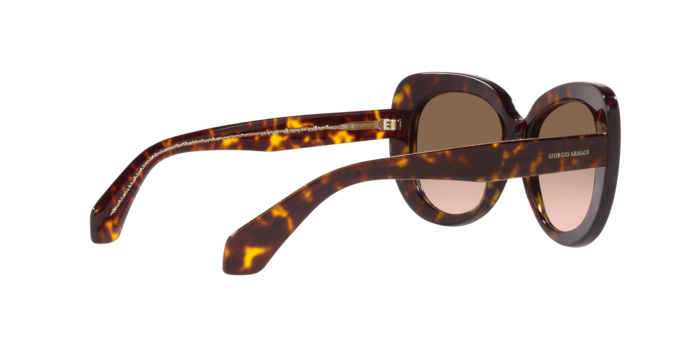 Giorgio Armani Sunglasses AR8168 587951