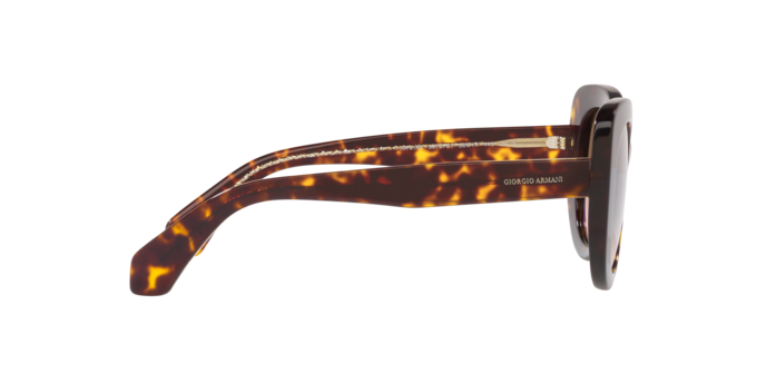 Giorgio Armani Sunglasses AR8168 587951
