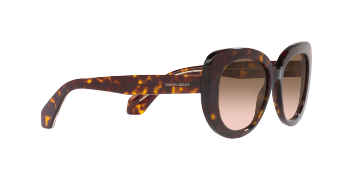 Giorgio Armani Sunglasses AR8168 587951