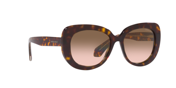 Giorgio Armani Sunglasses AR8168 587951