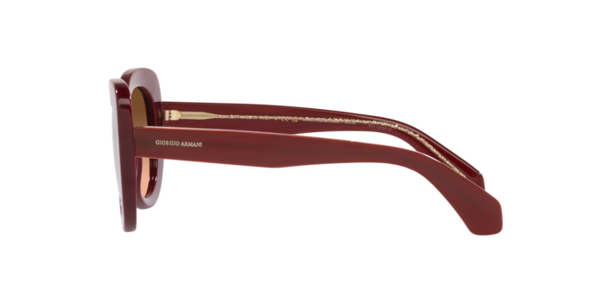 Giorgio Armani Sunglasses AR8168 5955A5
