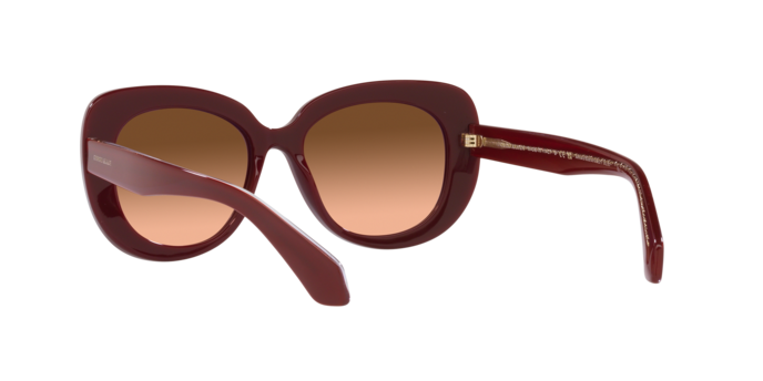 Giorgio Armani Sunglasses AR8168 5955A5