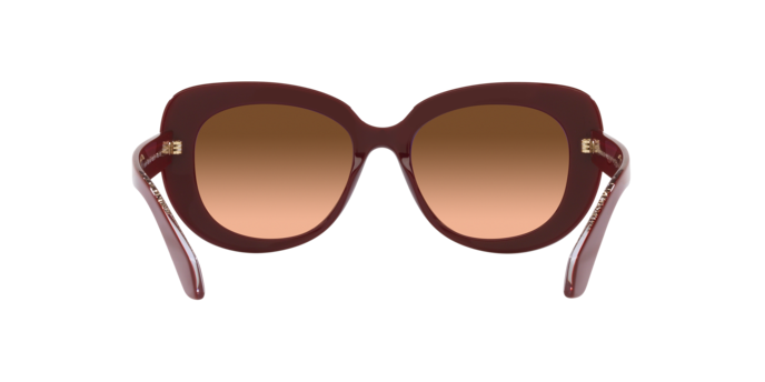 Giorgio Armani Sunglasses AR8168 5955A5