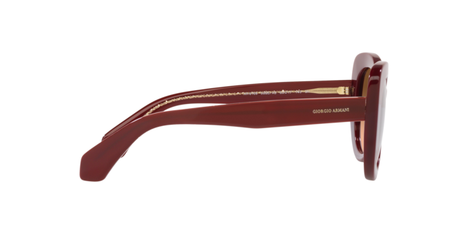 Giorgio Armani Sunglasses AR8168 5955A5