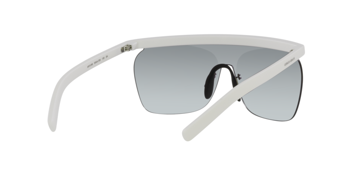 Giorgio Armani Sunglasses AR8169 5344D6