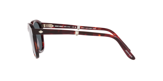 Giorgio Armani Sunglasses AR8170 5862R5