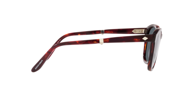 Giorgio Armani Sunglasses AR8170 5862R5