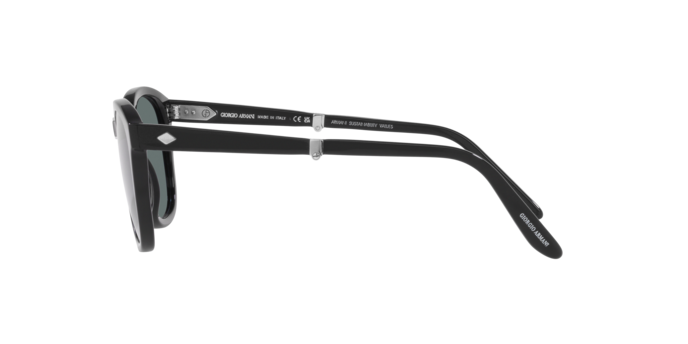 Giorgio Armani Sunglasses AR8170 58754N