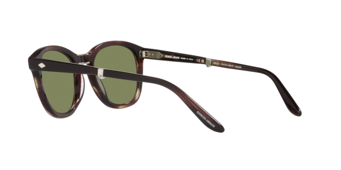 Giorgio Armani Sunglasses AR8170 59634E