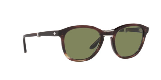 Giorgio Armani Sunglasses AR8170 59634E