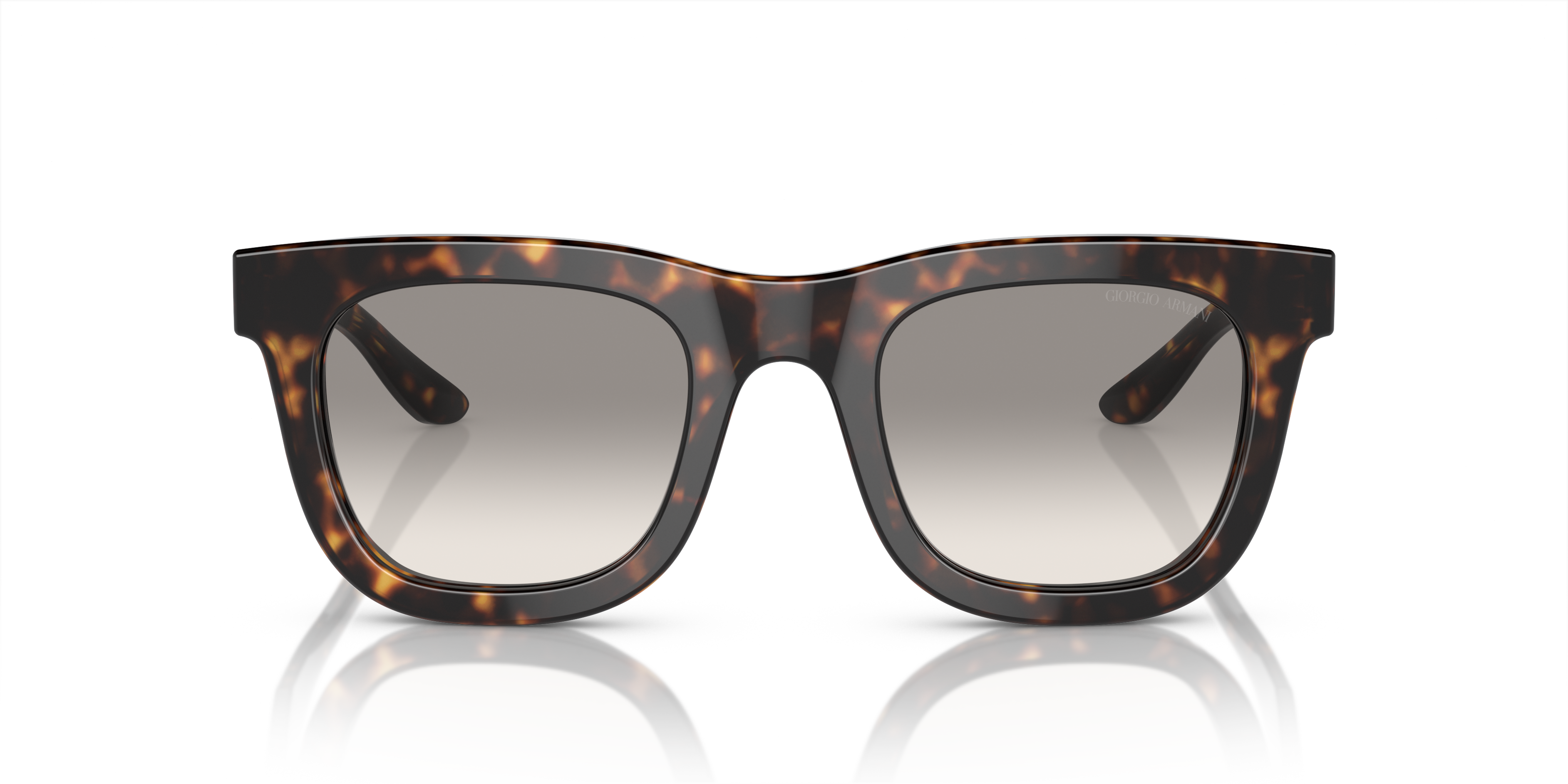 Giorgio Armani Sunglasses AR8171 587932