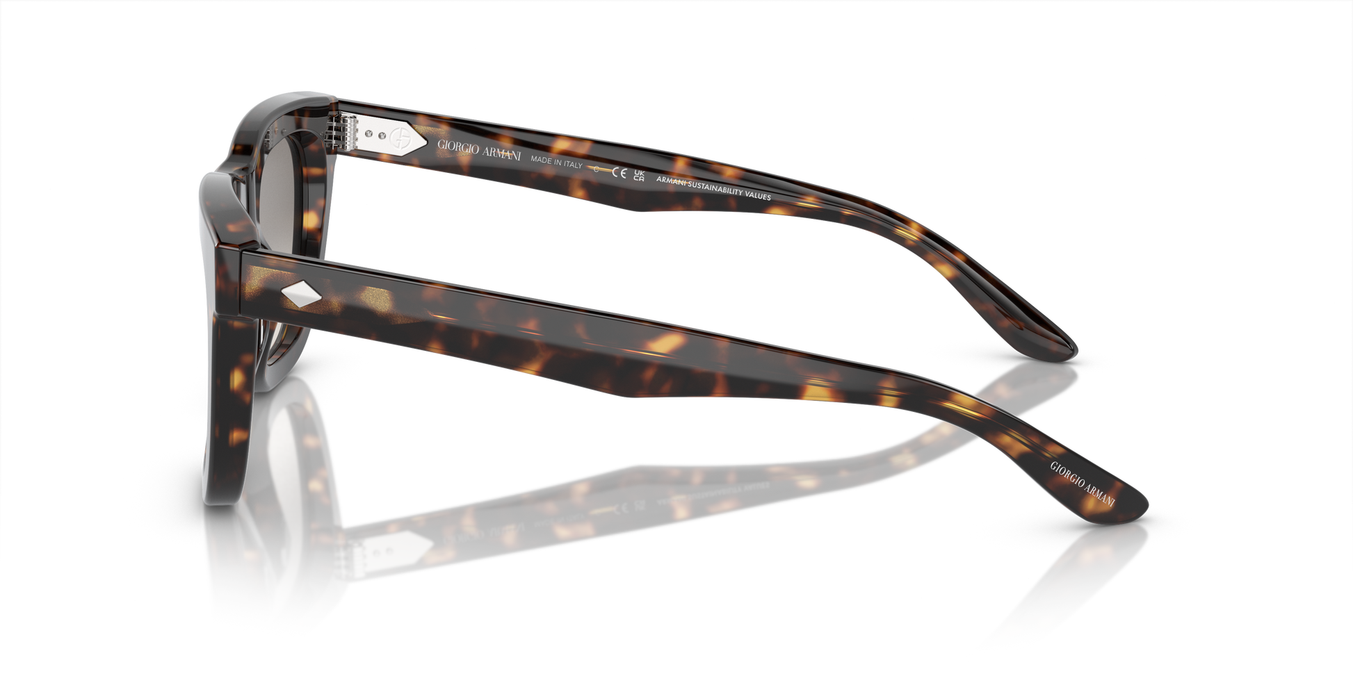 Giorgio Armani Sunglasses AR8171 587932