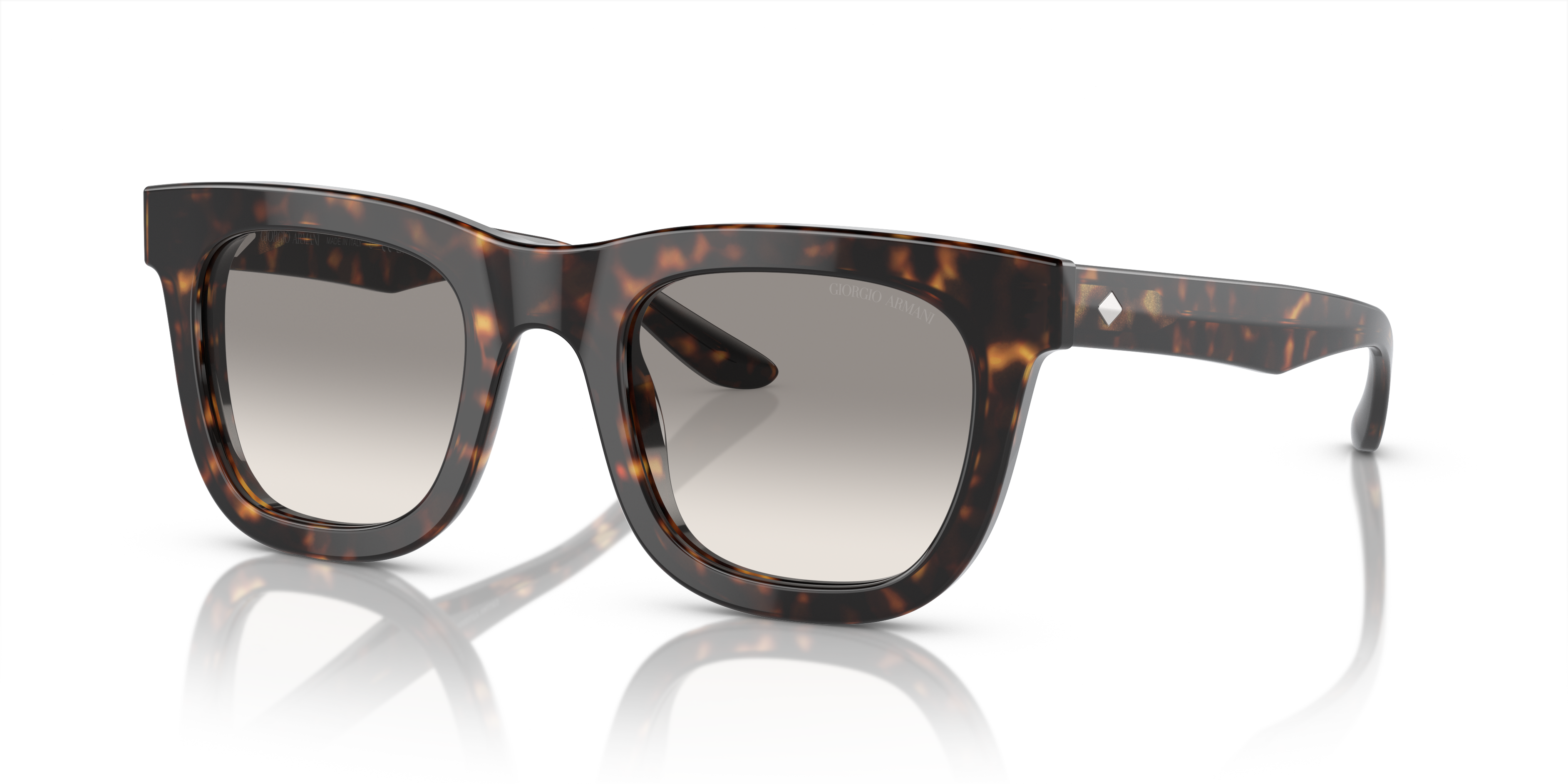 Giorgio Armani Sunglasses AR8171 587932