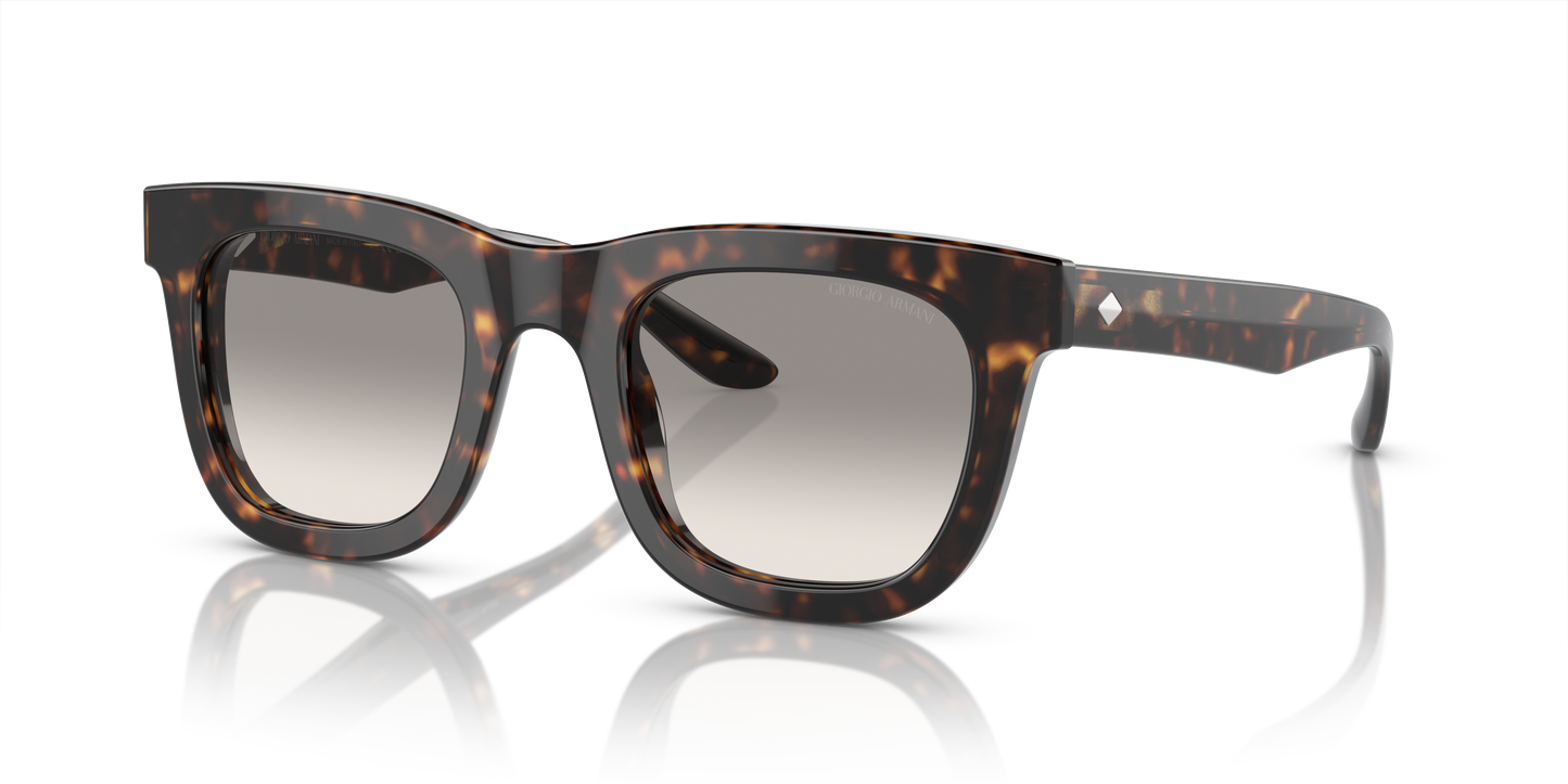 Giorgio Armani Sunglasses AR8171 587932
