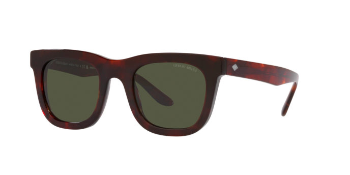 Giorgio Armani Sunglasses AR8171 596231
