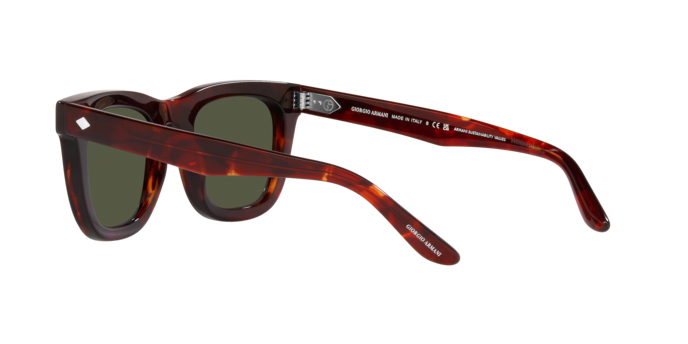 Giorgio Armani Sunglasses AR8171 596231