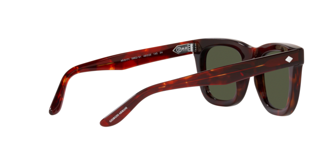 Giorgio Armani Sunglasses AR8171 596231