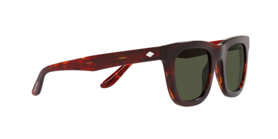 Giorgio Armani Sunglasses AR8171 596231