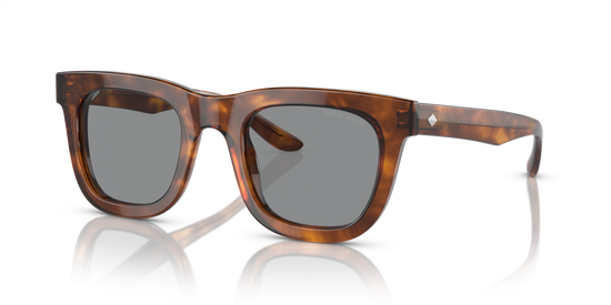 Giorgio Armani Sunglasses AR8171 598802