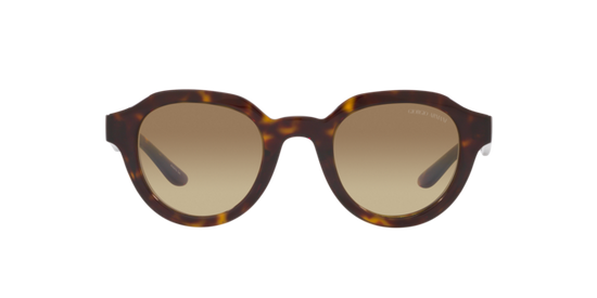Giorgio Armani Sunglasses AR8172U 5879Q4