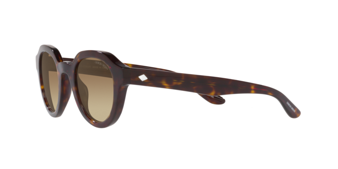 Giorgio Armani Sunglasses AR8172U 5879Q4