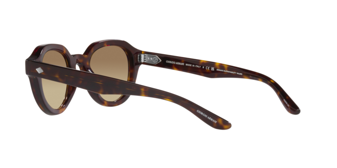 Giorgio Armani Sunglasses AR8172U 5879Q4