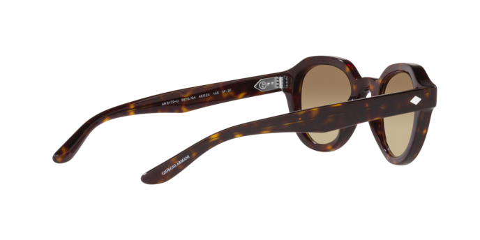 Giorgio Armani Sunglasses AR8172U 5879Q4