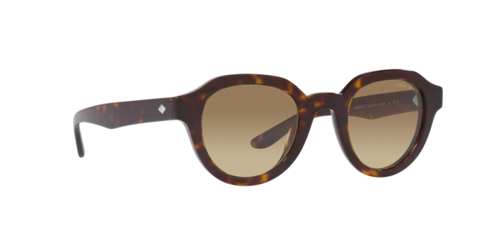 Giorgio Armani Sunglasses AR8172U 5879Q4