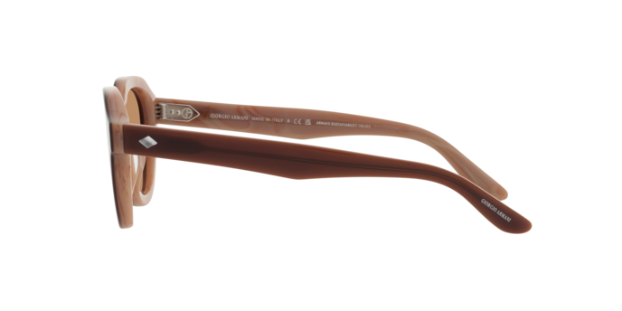 Giorgio Armani Sunglasses AR8172U 596953