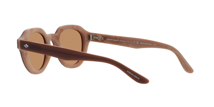 Giorgio Armani Sunglasses AR8172U 596953