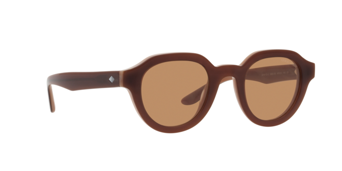 Giorgio Armani Sunglasses AR8172U 596953