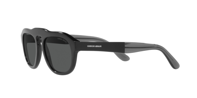 Giorgio Armani Sunglasses AR8173 500187