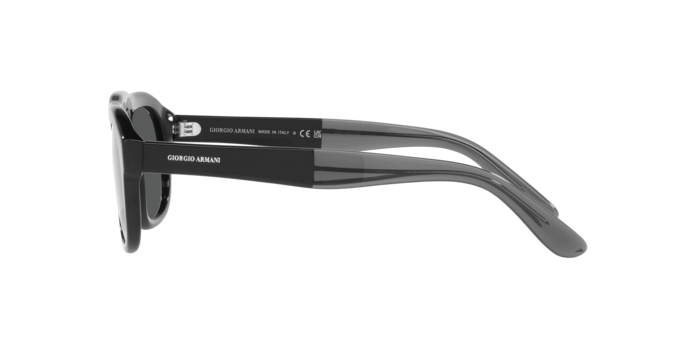Giorgio Armani Sunglasses AR8173 500187