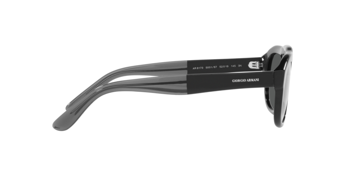 Giorgio Armani Sunglasses AR8173 500187