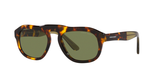 Giorgio Armani Sunglasses AR8173 50922A