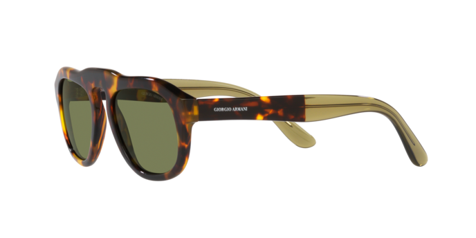 Giorgio Armani Sunglasses AR8173 50922A