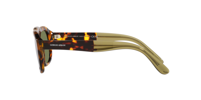 Giorgio Armani Sunglasses AR8173 50922A