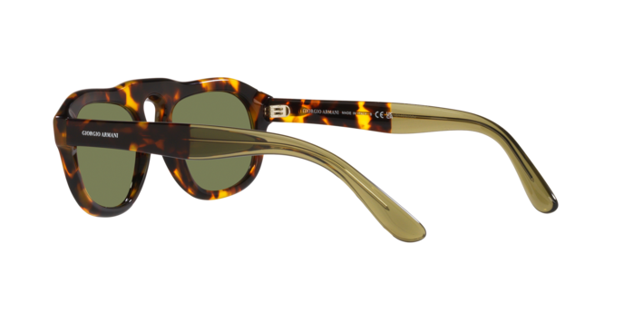 Giorgio Armani Sunglasses AR8173 50922A