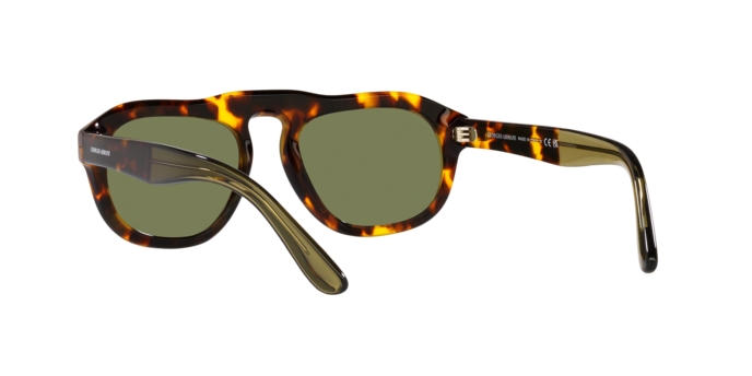 Giorgio Armani Sunglasses AR8173 50922A