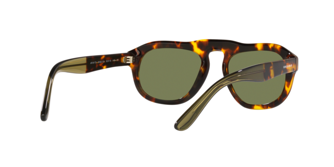 Giorgio Armani Sunglasses AR8173 50922A