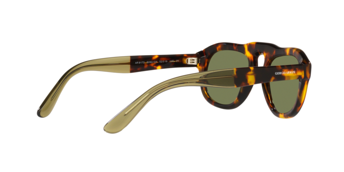 Giorgio Armani Sunglasses AR8173 50922A