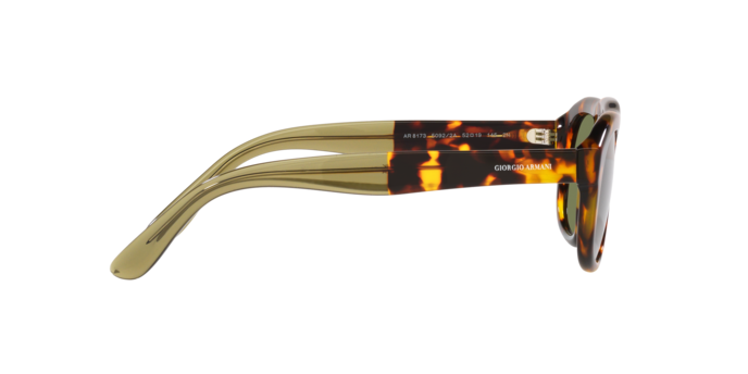 Giorgio Armani Sunglasses AR8173 50922A